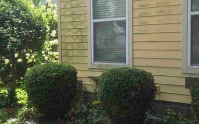 Photo of Laura M.'s yard after getting tree care in Bowling Green, KY