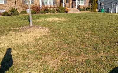 Photo of Jeff H.'s yard after getting landscaping in University Of Richmond, VA