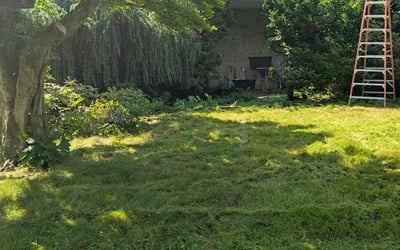 Photo of David G.'s yard after getting landscaping in Medford, NY
