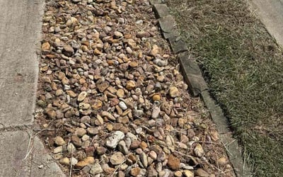 Photo of Lauren B.'s yard after getting landscaping in Cedar Park, TX