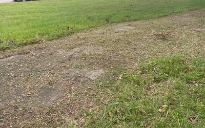 Photo of Justin K.'s yard after getting landscaping in Tangerine, FL