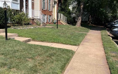 Photo of Mike D.'s yard after getting lawn care in Gainesville, VA