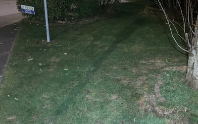 Photo of Jack P.'s yard after getting tree care in Veradale, WA