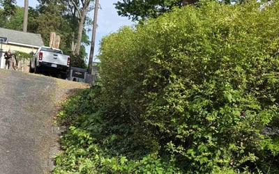 Photo of Richard R.'s yard after getting landscaping in Midlothian, VA