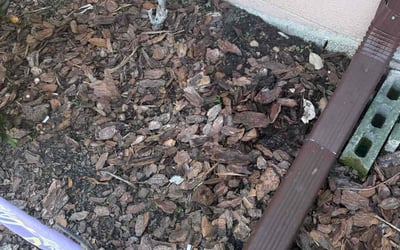 Photo of Jen C.'s yard after getting landscaping in Winter Park, FL