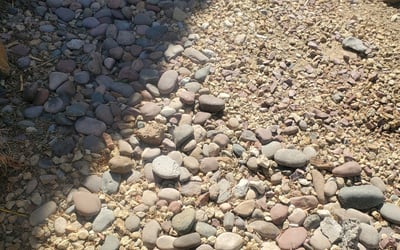 Photo of Karen C.'s yard after getting landscaping in Boulder City, NV