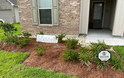 Photo of Anthony T.'s yard after getting tree care in Denham Springs, LA