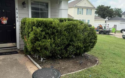 Photo of Jack E.'s yard after getting landscaping in Katy, TX