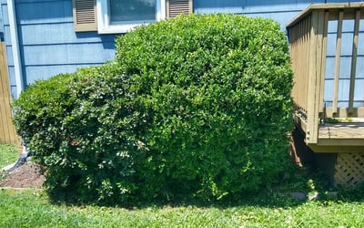 Photo of Matthew H.'s yard after getting landscaping in Sandy Hook, VA