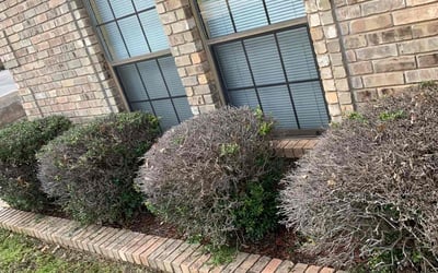 Photo of Pamela M.'s yard after getting landscaping in Meeker, OK