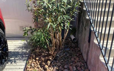 Photo of Marcus W.'s yard after getting landscaping in Atascosa, TX