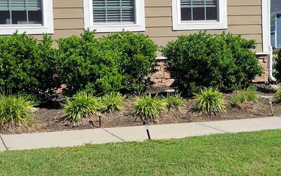 Photo of Josh S.'s yard after getting landscaping in Eure, NC