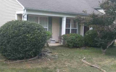 Photo of Sonja S.'s yard after getting tree care in Simpsonville, SC