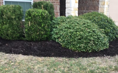 Photo of Michael M.'s yard after getting landscaping in Rio Vista, TX