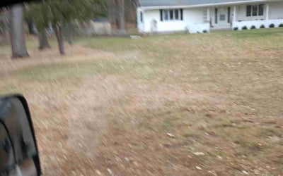 Photo of Michael S.'s yard after getting landscaping in Rush City, MN