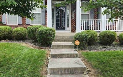 Photo of Shelby B.'s yard after getting landscaping in Bowie, MD
