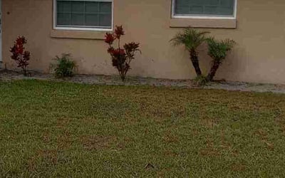 Photo of Renee D.'s yard after getting landscaping in Sharpes, FL