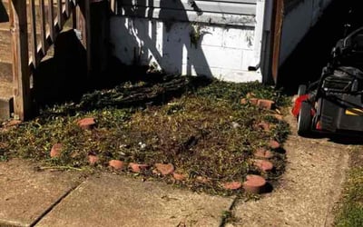 Photo of Logan A.'s yard after getting landscaping in Marengo, OH