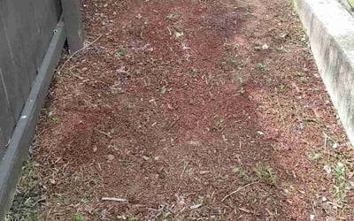 Photo of Kenneth T.'s yard after getting lawn care in Lanham, MD