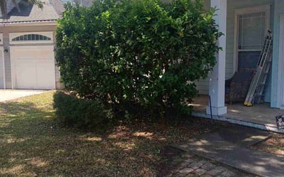Photo of Lisa S.'s yard after getting tree care in Glen Saint Mary, FL