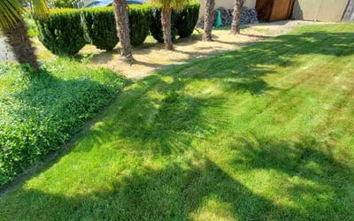 Photo of Audrey C.'s yard after getting landscaping in Monroe, WA