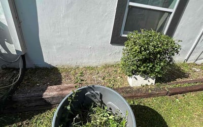 Photo of Bill D.'s yard after getting landscaping in Belleair Beach, FL