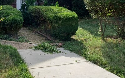 Photo of Richard M.'s yard after getting landscaping in Broad Run, VA