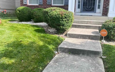 Photo of Shelby B.'s yard after getting landscaping in Dunkirk, MD