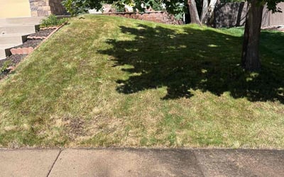 Photo of Amber M.'s yard after getting landscaping in Cascade, CO