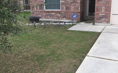 Photo of Pamela B.'s yard after getting landscaping in Christine, TX
