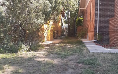 Photo of Valorie E.'s yard after getting lawn care in Evergreen, CO