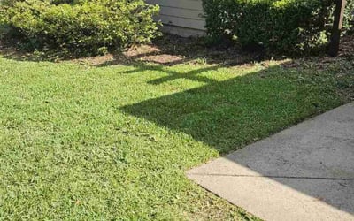 Photo of Ashley C.'s yard after getting landscaping in Savannah, GA