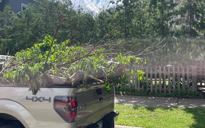 Photo of Patricia J.'s yard after getting landscaping in Cokato, MN