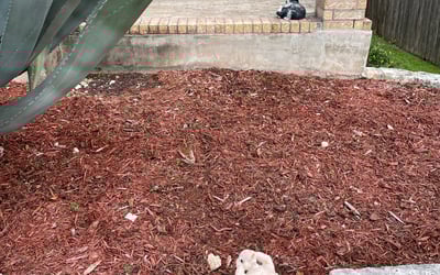 Photo of Mary G.'s yard after getting landscaping in Hondo, TX