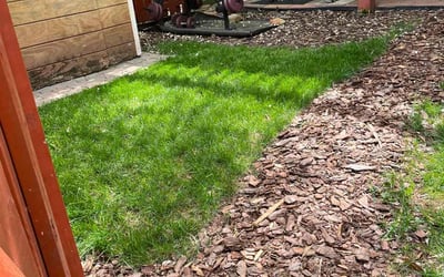 Photo of Emmett W.'s yard after getting landscaping in Boston, VA
