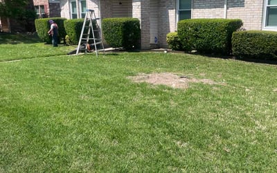 Photo of Karen L.'s yard after getting tree care in Plano, TX