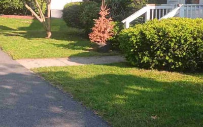 Photo of Kristin L.'s yard after getting landscaping in Milford, MA