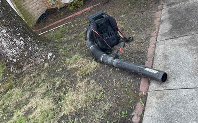 Photo of Ryan B.'s yard after getting landscaping in Lothian, MD
