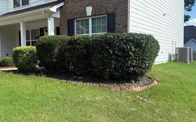 Photo of Rich N.'s yard after getting landscaping in Villa Rica, GA