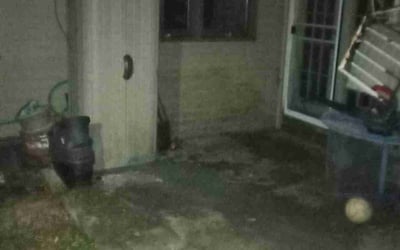 Photo of Linda B.'s yard after getting landscaping in Crooksville, OH