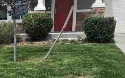 Photo of Dion B.'s yard after getting landscaping in Colorado Springs, CO
