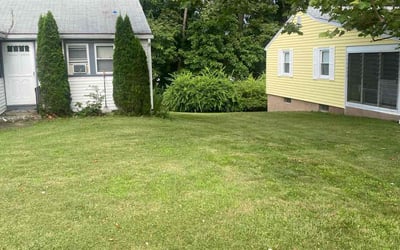 Photo of Jessica M.'s yard after getting landscaping in Orange, CT