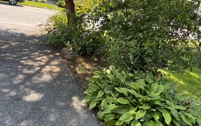 Photo of Mary D.'s yard after getting landscaping in Lititz, PA