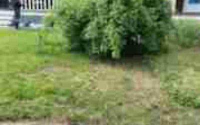 Photo of Yvonne D.'s yard after getting landscaping in Plymouth, MA