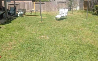 Photo of Karen M.'s yard after getting landscaping in Port Bolivar, TX