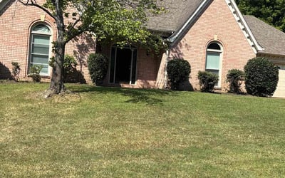 Photo of Lynn W.'s yard after getting landscaping in Memphis, TN