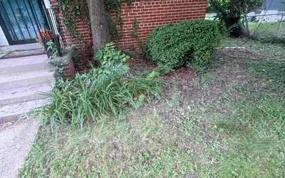 Photo of Steven K.'s yard after getting landscaping in College Park, MD