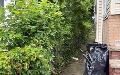 Photo of Paul J.'s yard after getting landscaping in Mamaroneck, NY