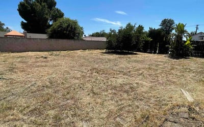 Photo of Jason J.'s yard after getting landscaping in Fontana, CA