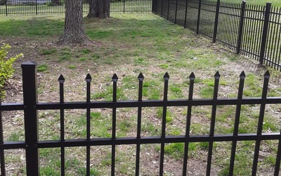 Photo of Rachel M.'s yard after getting landscaping in Lone Jack, MO